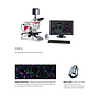 Microscopes à fluorescence non motorisé + caméra